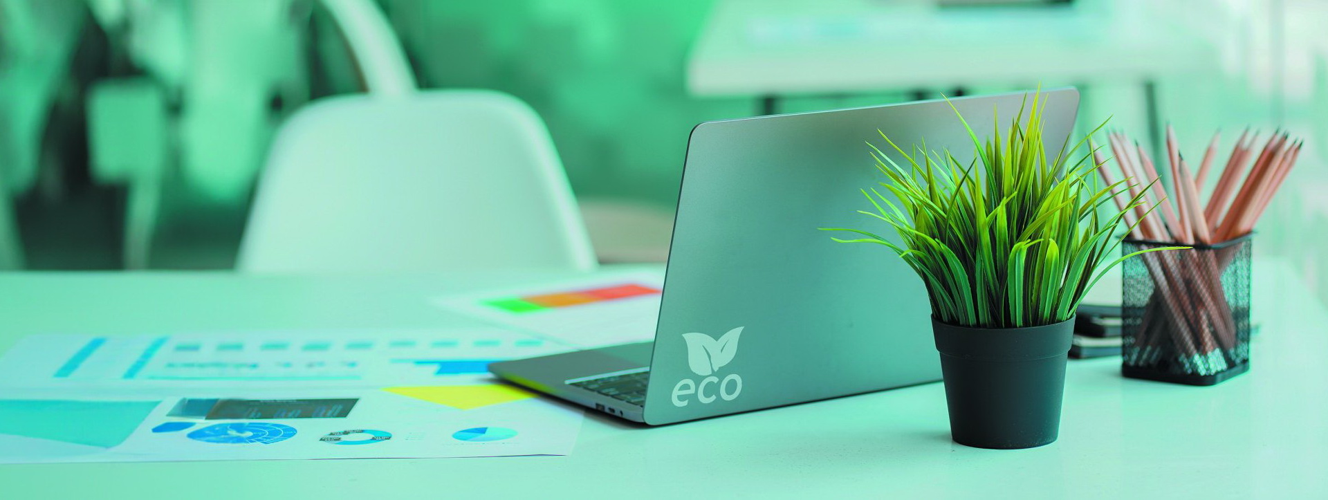 оцінку впливу на соціальне і навколишнє середовище